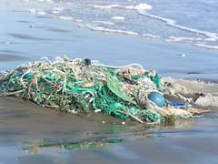 ���ԓ��̕Y����